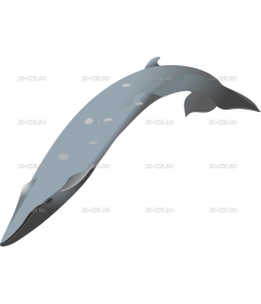 SEIWHALE