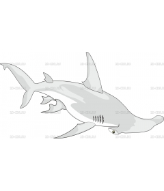 SHARK1