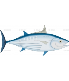 SKIPJACK