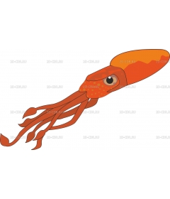 SQUID2