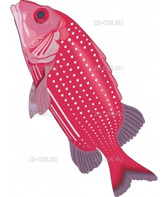 SQURFISH