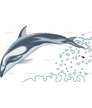 Дельфин (3)