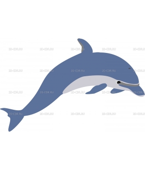 Дельфин (4)