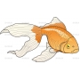 Векторный клипарт «Золотая рыбка (2)»