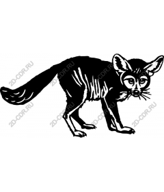  Fox Fenech