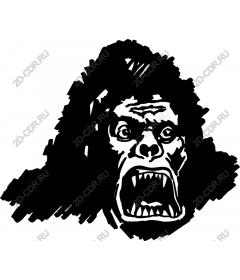  Ferocious gorilla