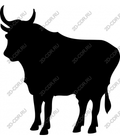 Bull