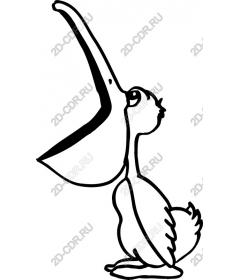  Charming Pelican