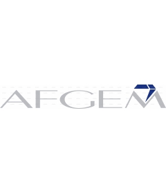 AFGEM2