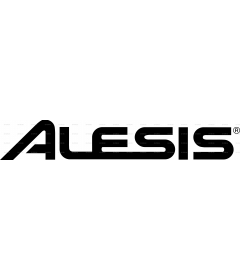 ALESIS CORP