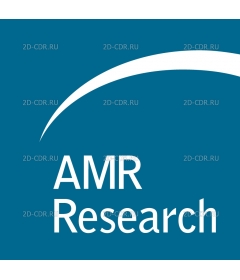 AMR RESEARCH