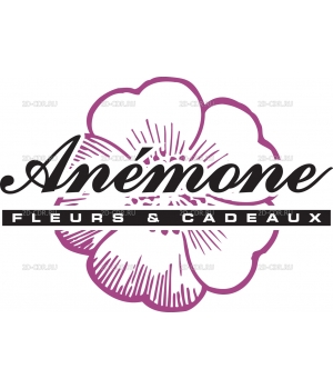 Anemone_fleurs_et_cadeaux