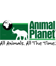 ANIMAL PLANET 1