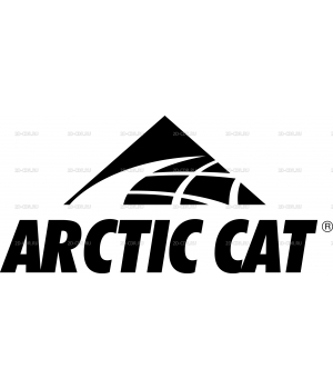 Arctic Cat 1