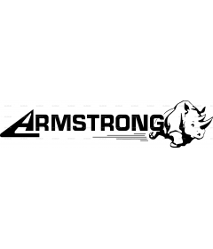 ARMSTRONG TIRES