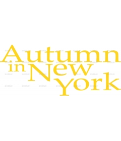 AUTHUMN IN NEW YORK