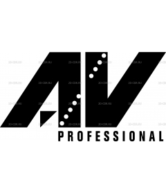 AV PROFESSIONAL