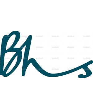 BHS_Logo_P309C