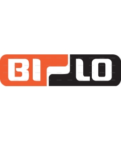 BI-LO STORES 1