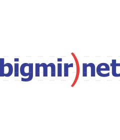 BIGMIR NET