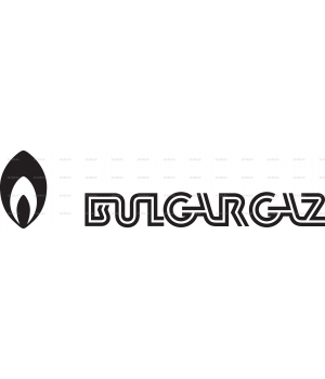 Bilgargaz_logo