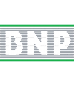 BNP_logo