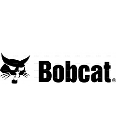 BOBCAT 3