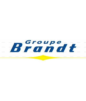Brandt_Group_logo