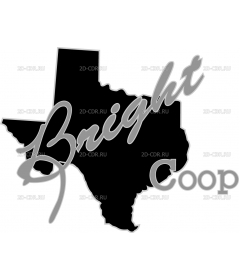 bright coop