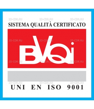BVQI_logo