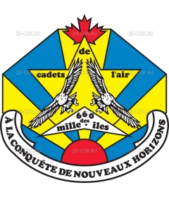 Cadets_de_l'air_logo