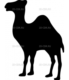 CAMEL