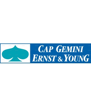CAP GEMINI ERNST & YOUNG 1