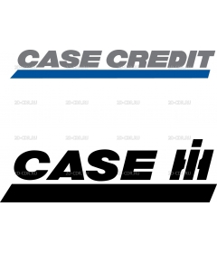 CASE CREDIT