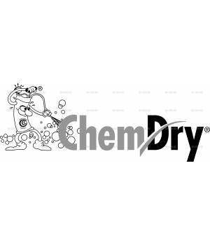 Chem Dry New
