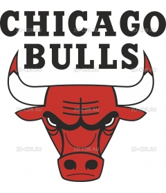 chicagobulls