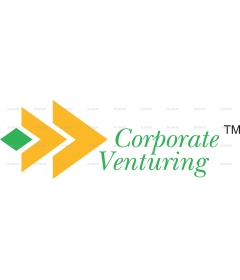 CORPORATE VENTURING