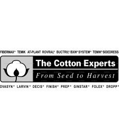 COTTON EXPERTS