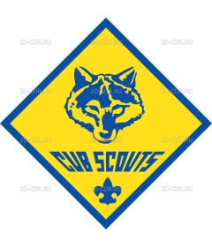 Cub Scouts