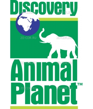 Discovery Animal P1