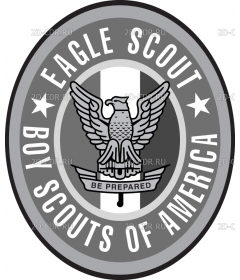 EAGLE SCOUTS