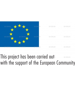 EUROPEAN COMMUNITY