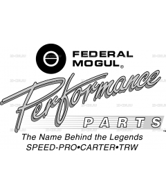 Federal Mogul 2