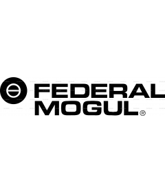 FEDERAL MOGUL