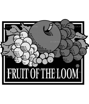 Fruit of the Loom 2