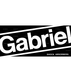 GABRIEL SHOCKS