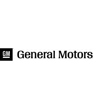 GENERAL MOTORS 2