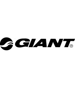 GIANT BICYCLES