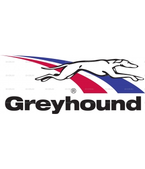 Greyhound 2