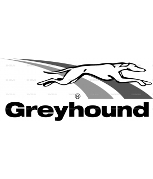 Greyhound